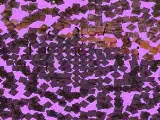 Moi &. Jade De Lohr - Vendredi 27 Mars 2oo9