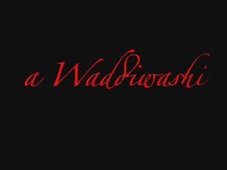 Bande-annonce Waddiwashi V2