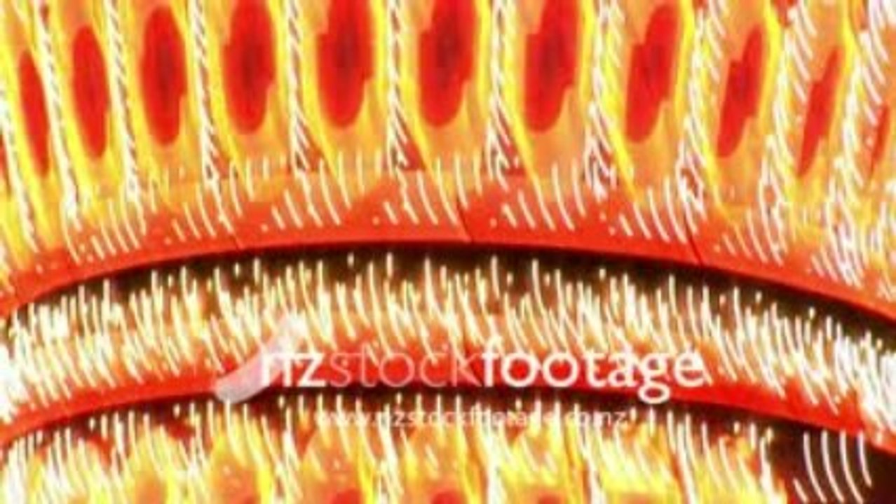 New Zealand Stock Footage Show reel