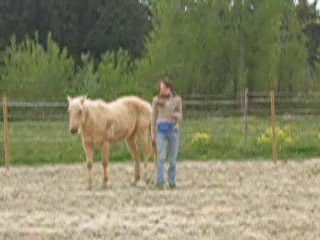 Tiz 1 Avril 2009