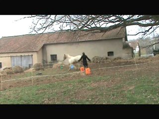 Longues renes virt. germ_0001