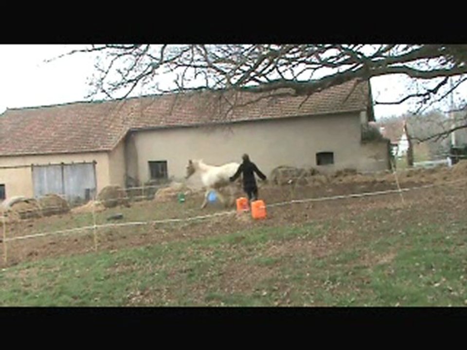 Longues renes virt. germ_0001