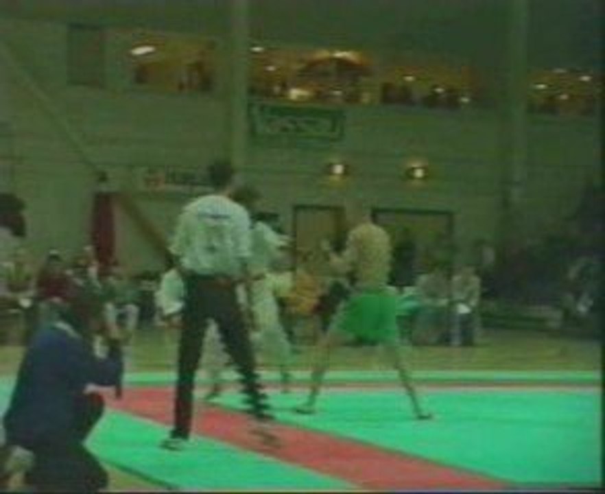 Muay thay vs taekwondo