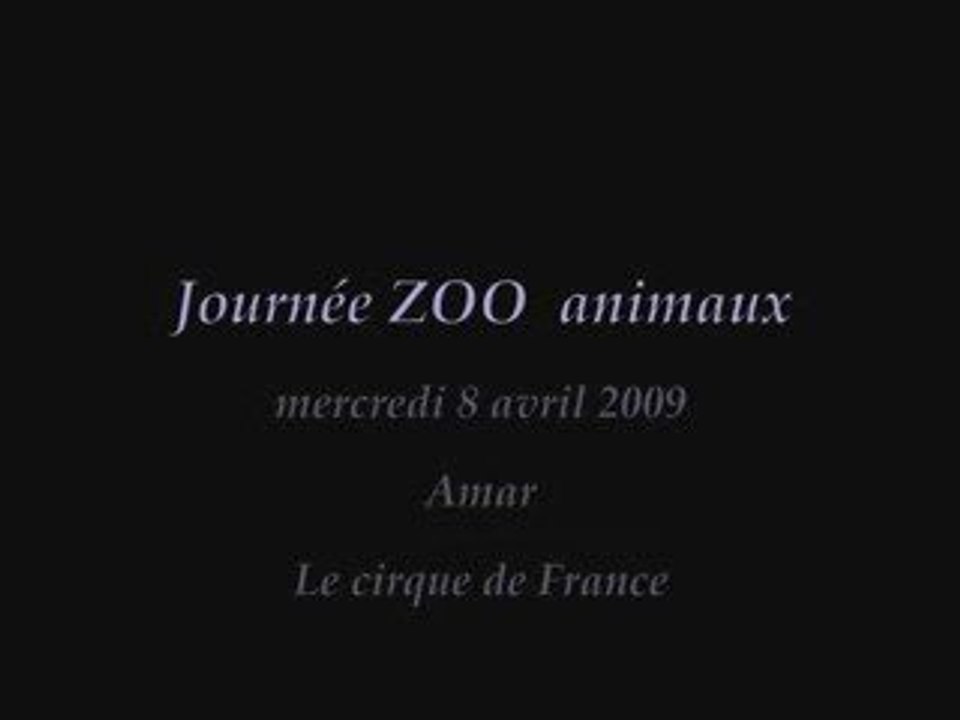 Journée animaux