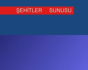 şehitler yozgat yahyasaray inonu koyu sehitleri