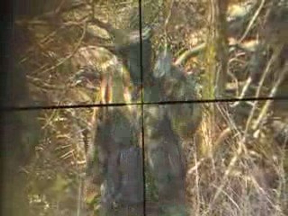 Réglage fusil sniper suite...