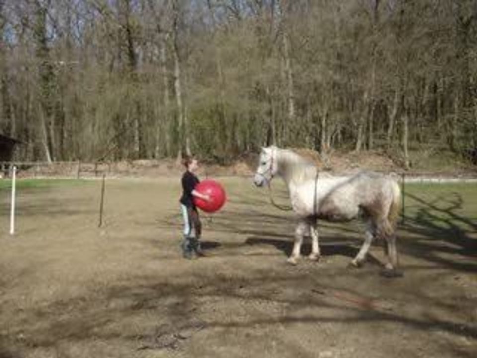 1ere journée rond de longe