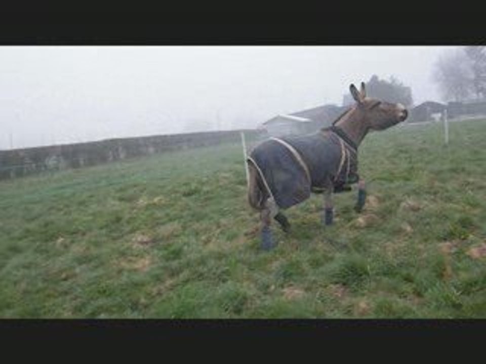 martin pérou 040409