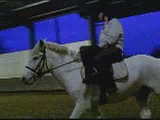 Marie et Ulrich lachés