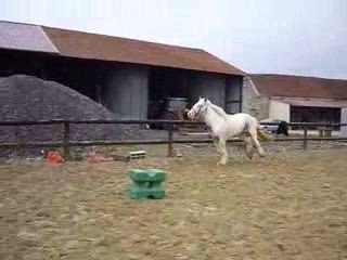 Flann cherche ses copains, il les appele