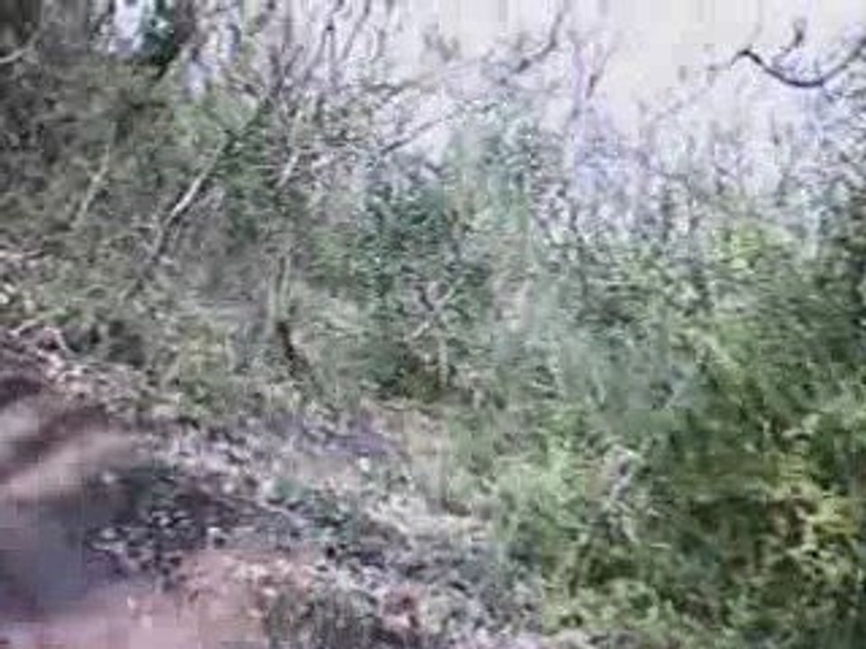 descente vtt du 4 avril 2009