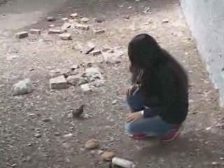 Little Birdie - Zig Zag Wanderer