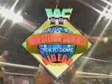 WWF New Japan All Japan Wrestling Summit