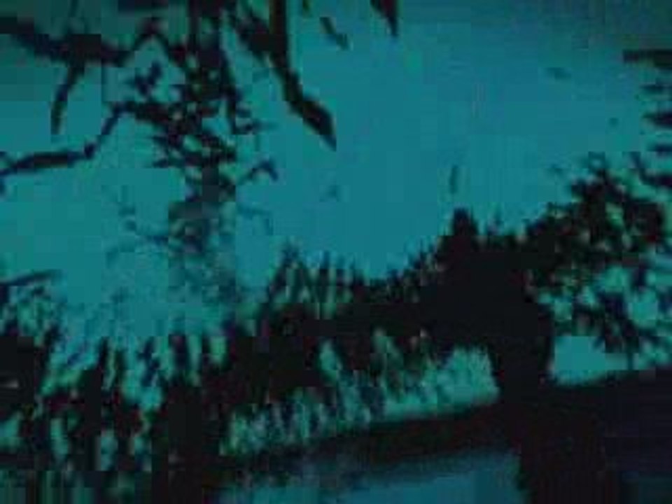 perfect insanity amv