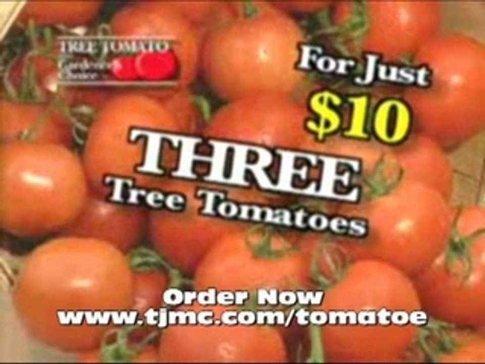 Tomato Tree, Grow Giant Tomatoes As Seen On TV