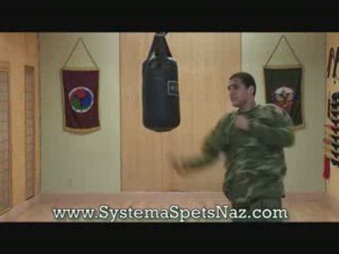 Russian Martial Art - Systema Spetsnaz - Target Training