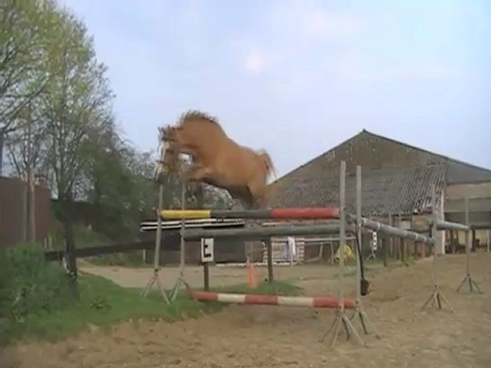 Liberty saut en liberte