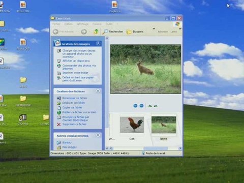 [tuto] 01_detourer_le_coq [paint.net]