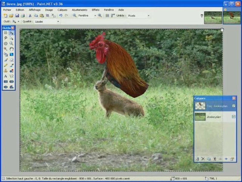 [tuto] 02_detourer la tete [paint.net]