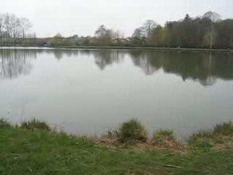 Chantenay Villedieu : étang