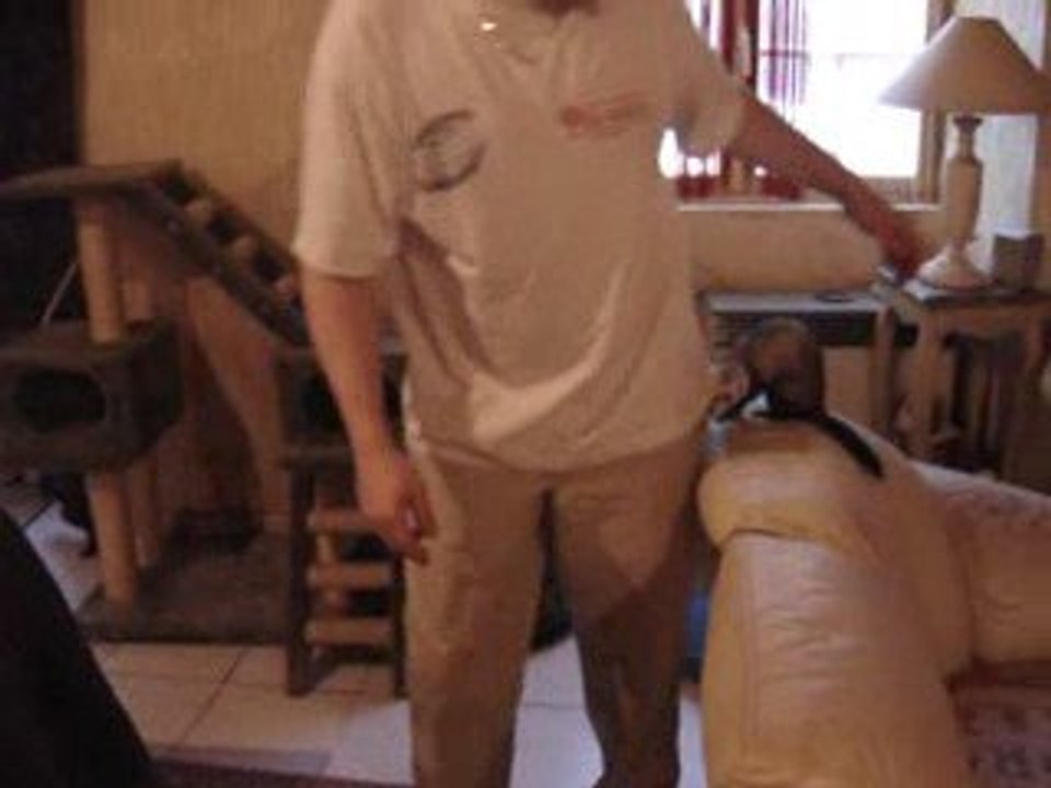 partie de jeu avec papa