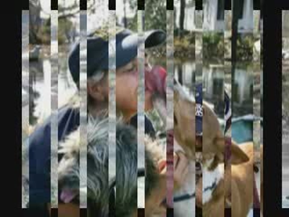 Video  Die Liebe eines (DEINES) Tieres