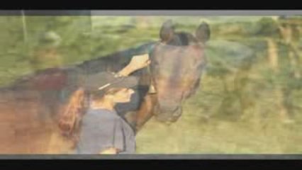 EIN TIERLEBEN IST VIEL ZU KURZ