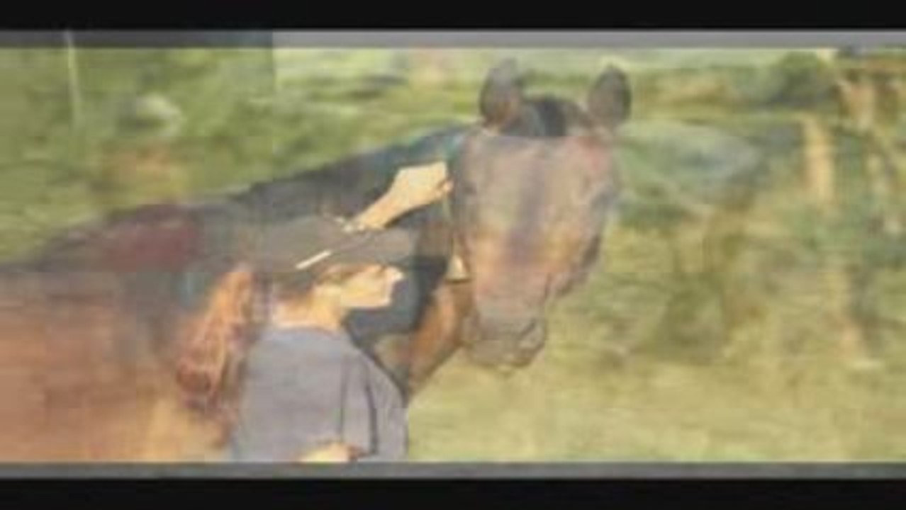 EIN TIERLEBEN IST VIEL ZU KURZ