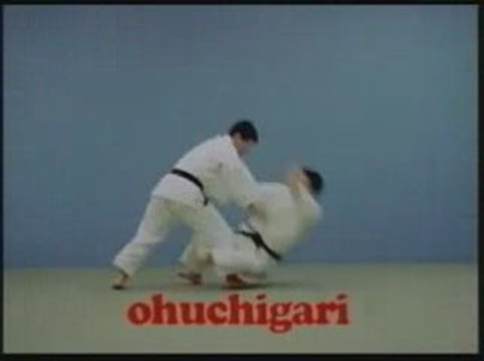 Judo techniques