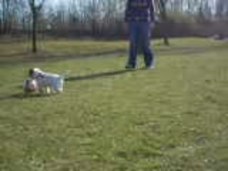 éDako joue au baLon