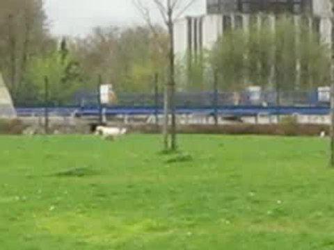 Diva ce 9 avril 2009 elle a presque 9 mois