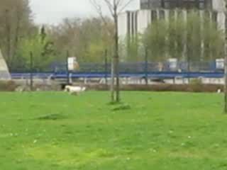 Diva ce 9 avril 2009 elle a presque 9 mois