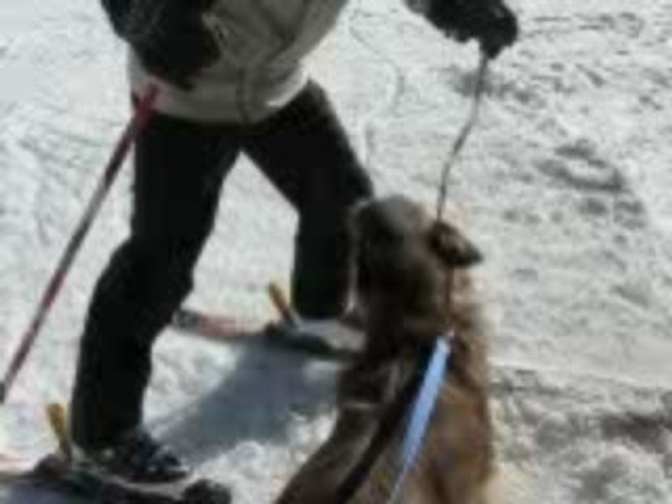 Jb et Diego ski