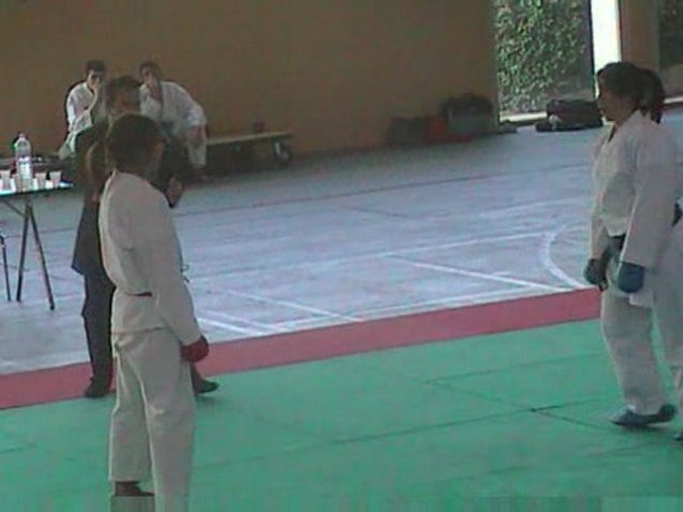 KARATE Coupe de Vaucluse 4 avril 2009