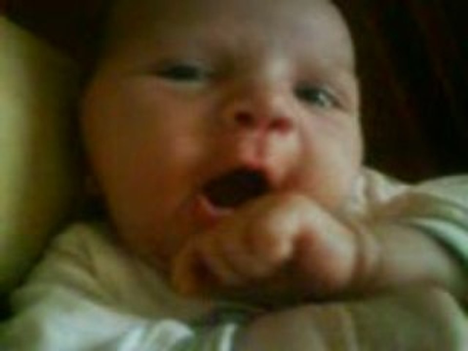 bebe rose