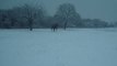 Célio galop sous la neige (L) Hivers 2009