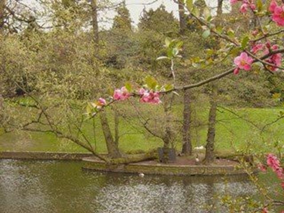 MEDITATION PRINTEMPS