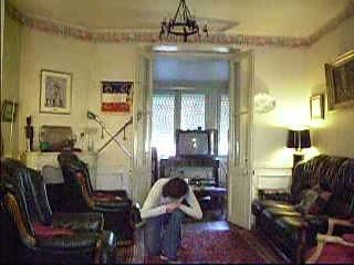 17- 16e découpe vertes