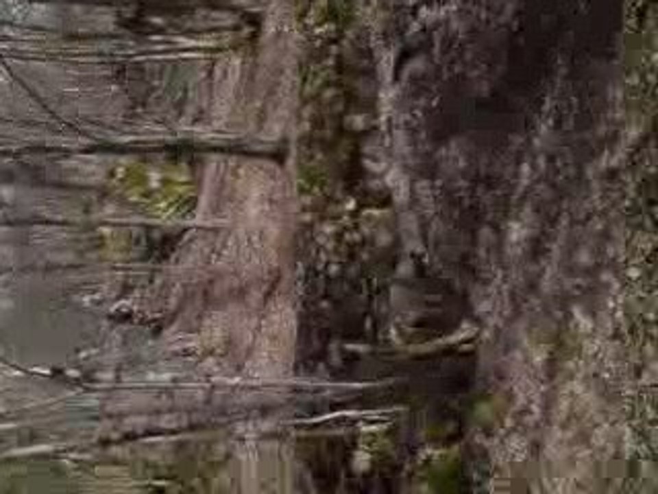 mini road gap ferdrupt vtt dh guillaume