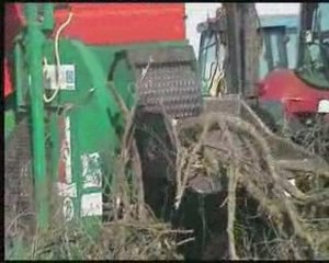 Filiere bois déchiqueté