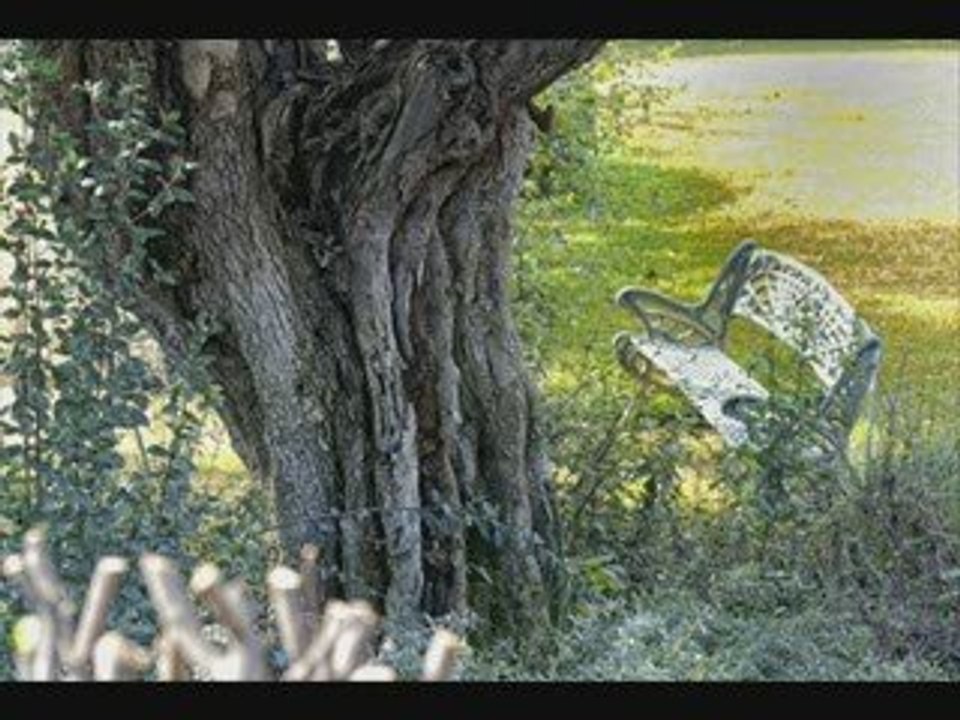 Fotos del blog de Mario Conde