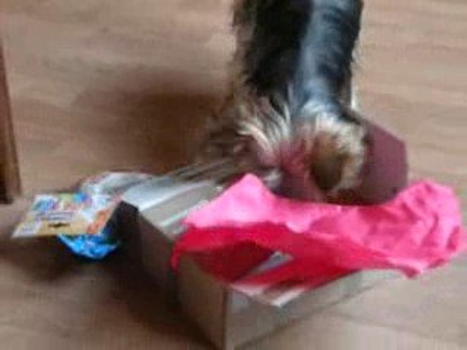Cadeaulisiane_converted