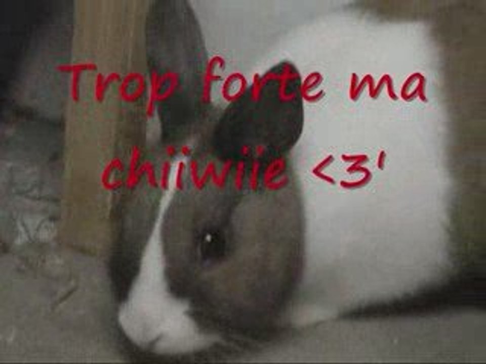 Danette le 8 avriil