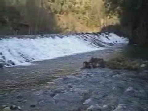 TRANCA DA BARRIGA E O BOM CABRITO -CABREIRA -GOIS -COIMBRA