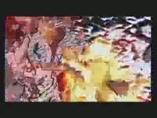 Dynasty warrior intro_(converted)