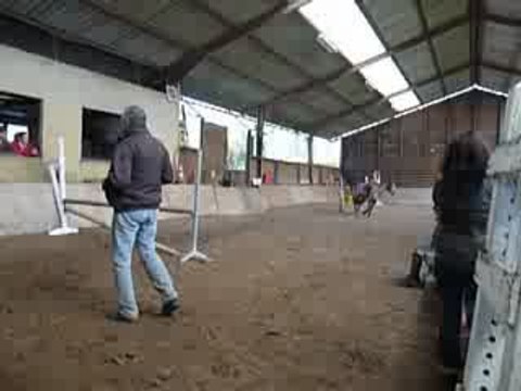 video cheval cours de samedi à 14h
