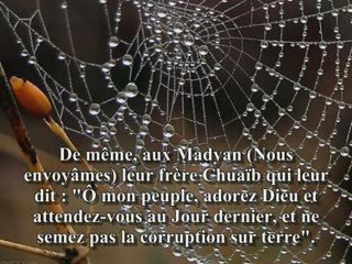 Sourate 29  L'araignèe (Al-Ankabut) récitée par Fares Abbad