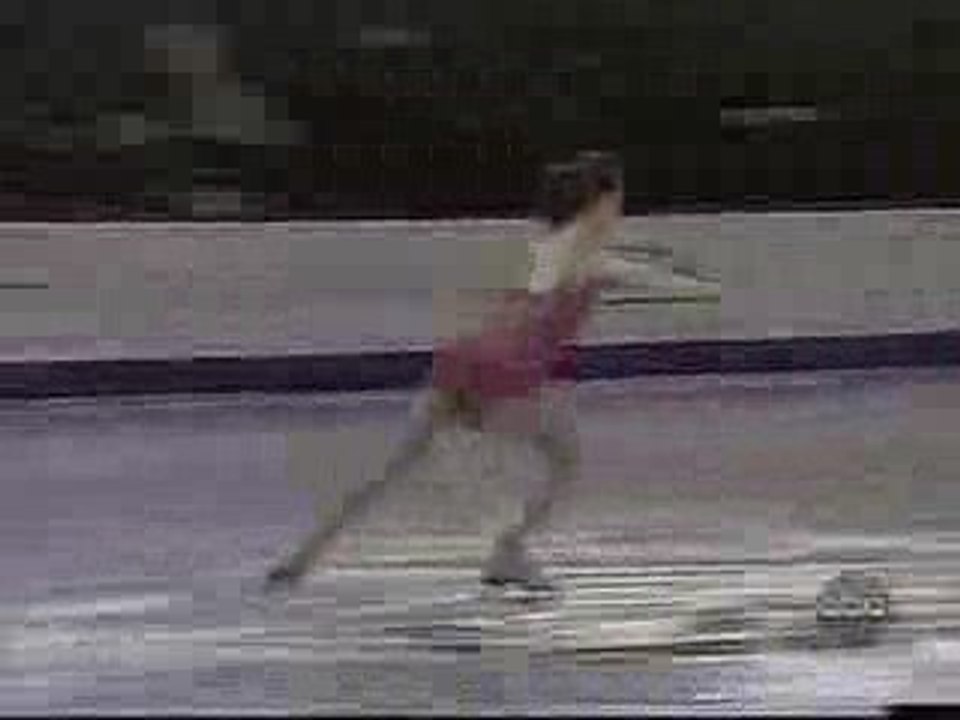 Lachvandedag.nl - Schaatswak