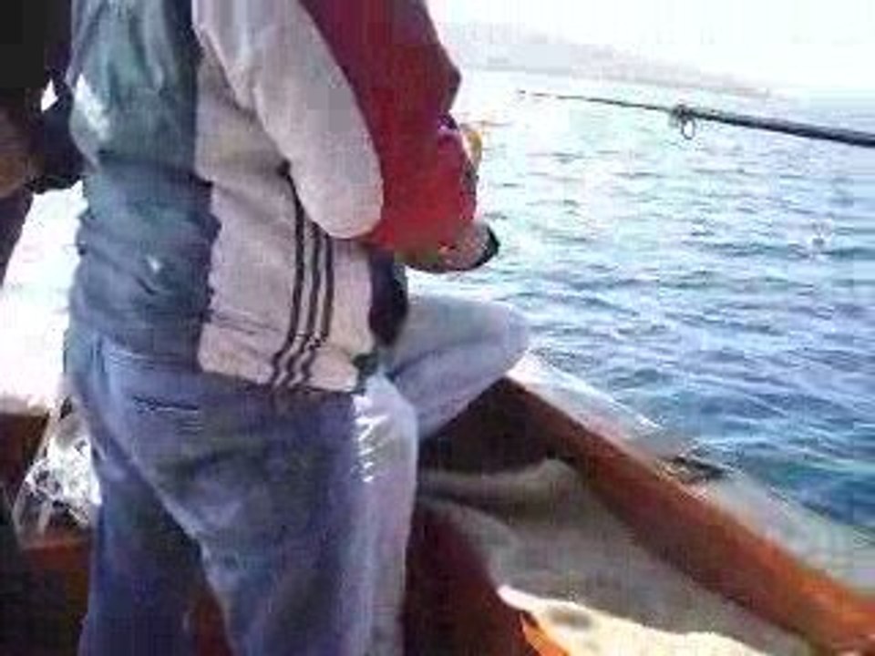 özbek 2 032