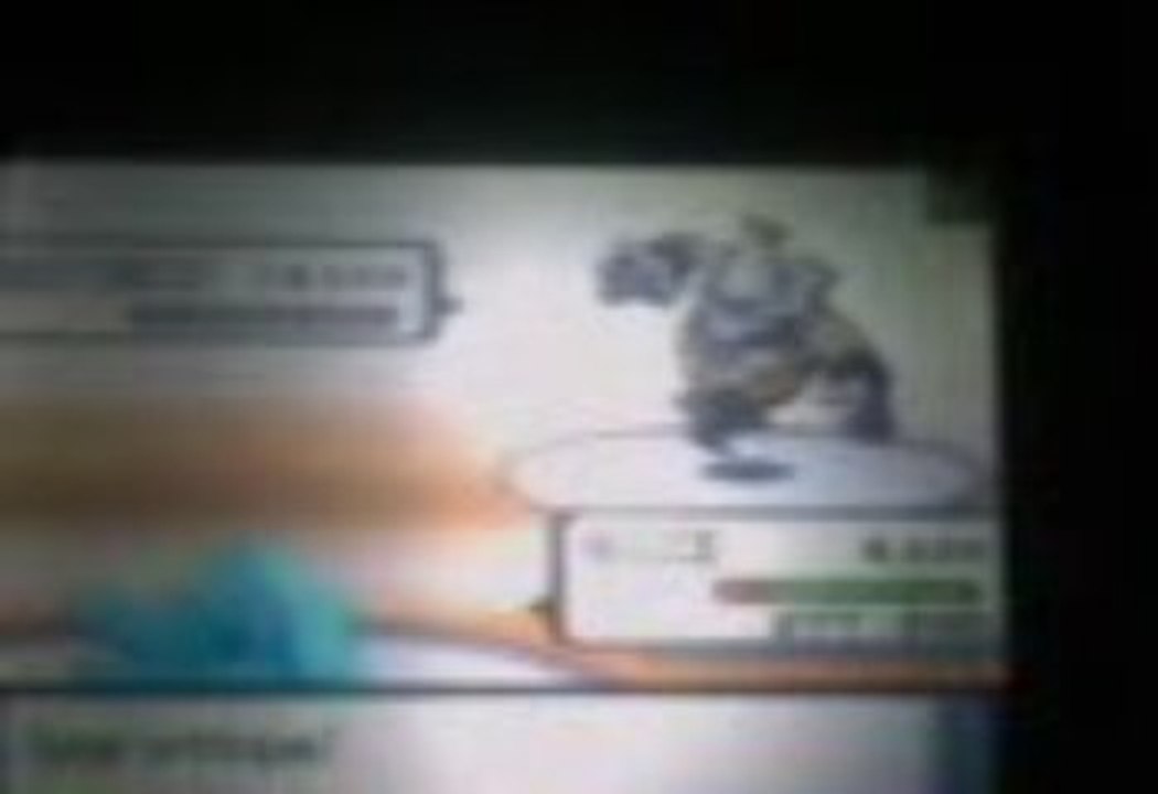 Vidéo0010